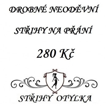 DROBNÝ STŘIH NA PŘÁNÍ NEODĚVNÍ